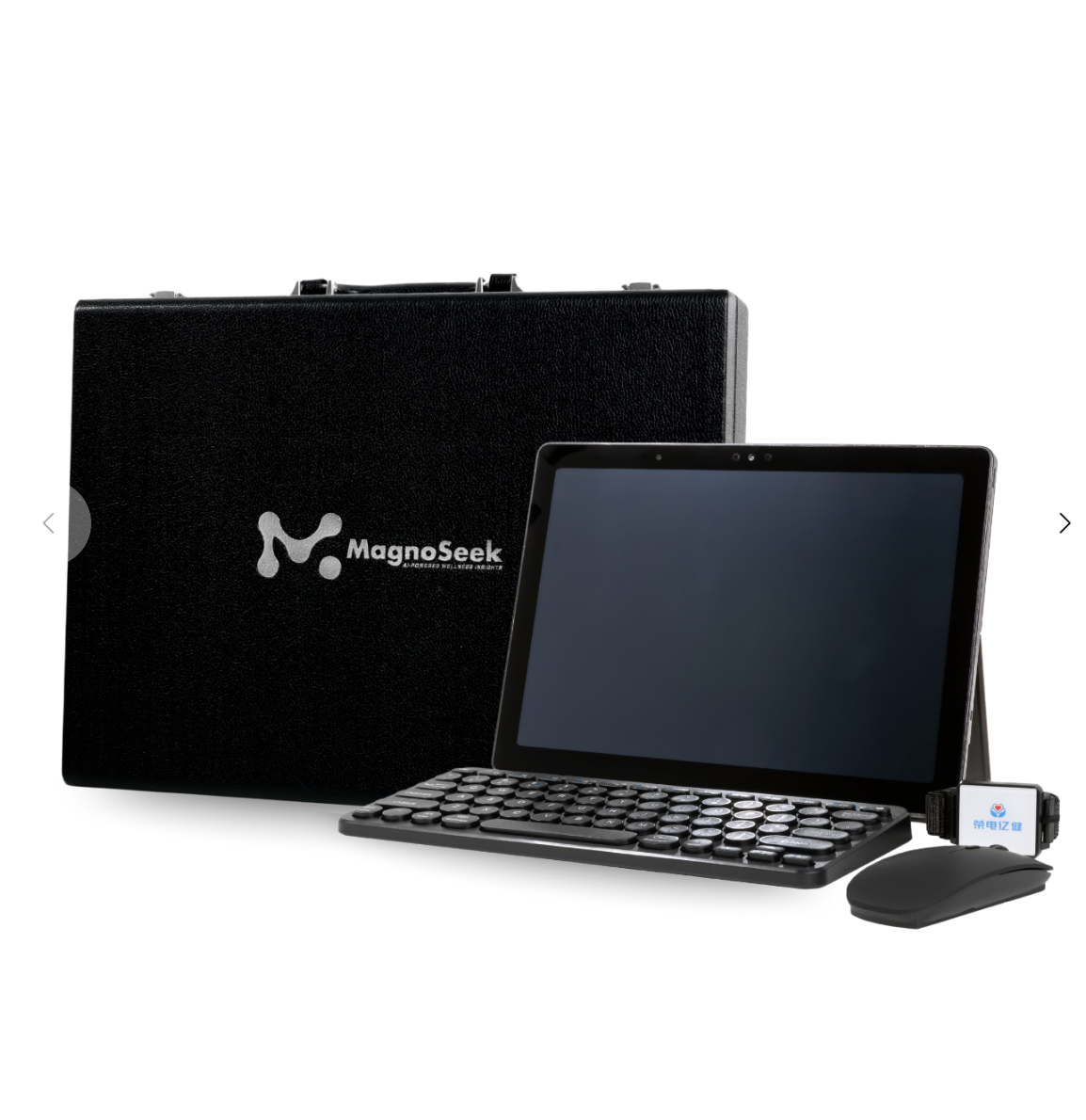 MagnoSeek M19: Full Purchase